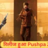 Pushpa 2 The Rule