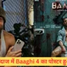 Baaghi 4